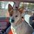 J Scott Albro's profile image