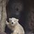 Julie Ogle Testin's profile image