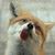 Angie Becker Fox's profile image