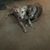 Shirley Pelley's profile image