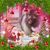 Sally Jacobs's profile image