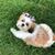 Marie Hiar's profile image