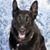 MaryAnn Chaisson's profile image