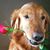 Carla Fryar's profile image