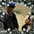 Michael Price's profile image