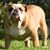 Jena Scearce Proffitt's profile image