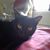 Patricia Ann Orlando's profile image
