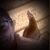 Torey Taylor's profile image
