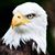 Stanley Accrington's profile image
