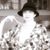 Avery Kate Hardin's profile image