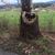 Cindy Lundquist's profile image