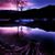Michelle Runnels's profile image