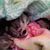 Donna Harrison Elkins's profile image