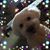 Lisa Gaucker's profile image