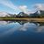 Amber Libbert's profile image