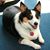 Carol Ann Steele's profile image