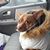 Robin Templin's profile image