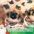 Ann Mashek's profile image