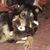 Linda Snyder-Minnich's profile image