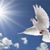 Lynn Clark's profile image