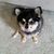 Tiffany Veltkamp's profile image