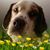 Jenn A Mayo's profile image