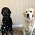 Debbie Frio's profile image