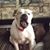 Nina Cahill-Stebbins's profile image