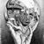 Ty Zmolek's profile image