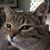 Gerard Ruppert's profile image