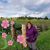Debbie van Orden's profile image