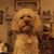 Cheryl Otto Arndt's profile image