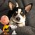 Louann Arnold's profile image