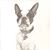 Lisa John Correia's profile image