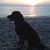 Debbie Reichert Brown's profile image