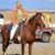 Shelli Roufley's profile image