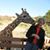 Kathy Baer Seemayer's profile image