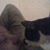 Louise Breland's profile image