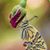 Darlene Hughes's profile image
