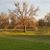 Yvonne Gillingham Schwemmer's profile image