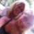 Darlena Day's profile image