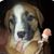 Dennis Turcotte's profile image