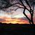 Barb Harring's profile image