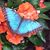Susan Kasten Dempsey's profile image