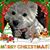 Jim Kerr's profile image