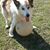 Cathy Hamlen's profile image