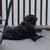 Sandy Deleo's profile image