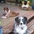 Jackie Vaught Lindseen's profile image