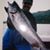 Brian Rousseau Sr's profile image