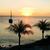 Tracie SArana's profile image